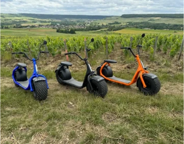 Scooters électriques